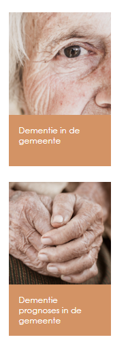 Data Gemeentezorgspiegel in Fries venster thuiswonende mensen met dementie