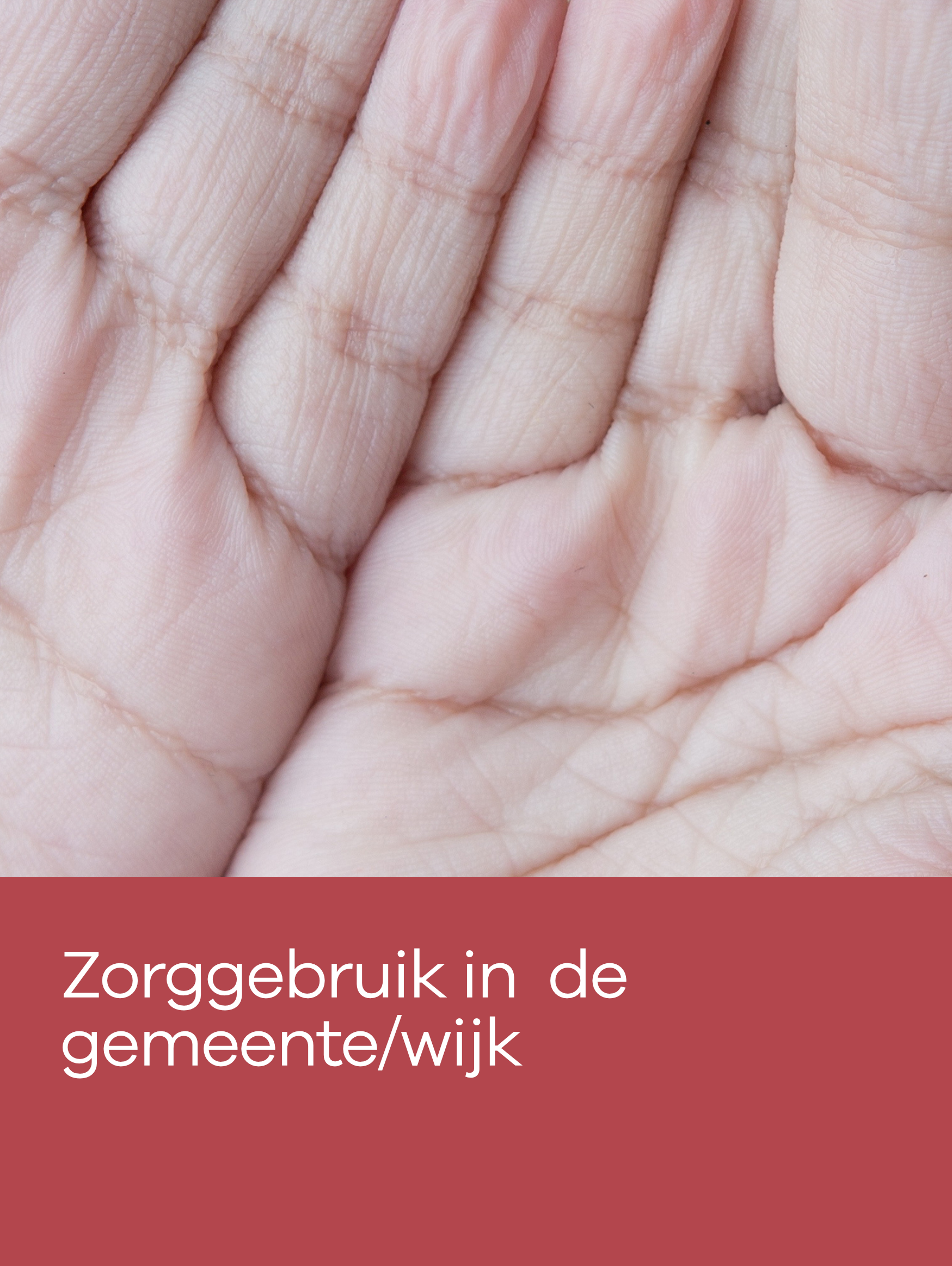 Zorggebruik in de gemeente/wijk